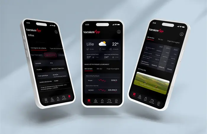 Interface Vaesken App