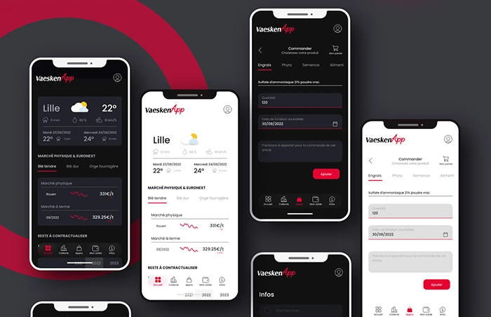 Interface Vaesken App